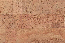 Пробковое покрытие Natural Cork замковое Fantasie фото 1 | FLOORDEALER