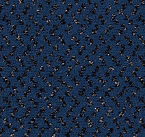 Ковролин Vorwerk Passion 1047 Vorwerk 3q38 фото 1 | FLOORDEALER