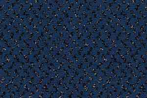 Ковролин Vorwerk Passion 1047 Vorwerk 3q38 фото  | FLOORDEALER