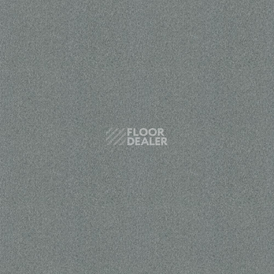 Ковровая плитка Tessera basis pro 4376 Mercury фото 1 | FLOORDEALER