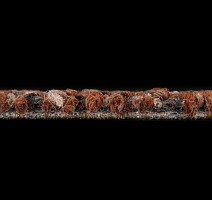 Desso Solid ac 73 5031 фото 8 | FLOORDEALER