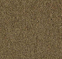 Ковролин Balsan Majestic 770 фото 1 | FLOORDEALER