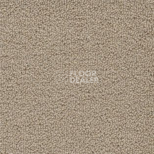 Ковролин AW Pearl 33 фото 1 | FLOORDEALER