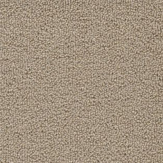 Ковролин AW Pearl 33 фото 1 | FLOORDEALER