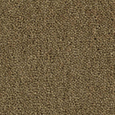 Ковролин Balsan Majestic 770 фото 1 | FLOORDEALER