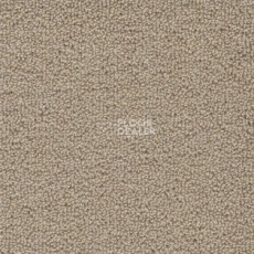 Ковролин AW Pearl 33 фото 1 | FLOORDEALER