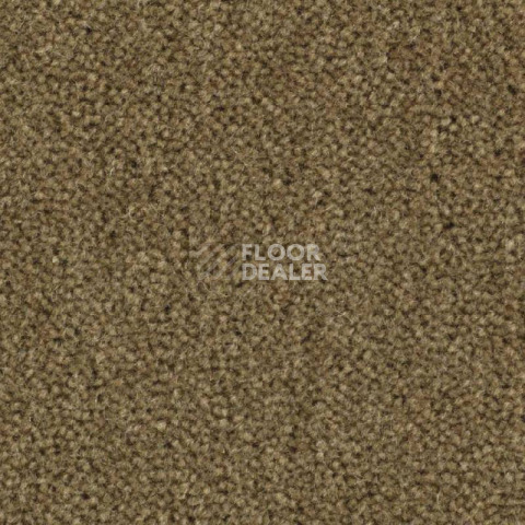 Ковролин Balsan Majestic 770 фото 1 | FLOORDEALER