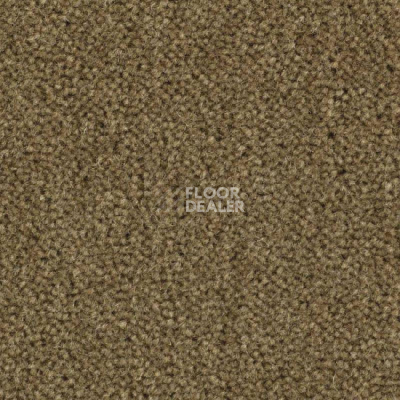 Ковролин Balsan Majestic 770 фото 1 | FLOORDEALER
