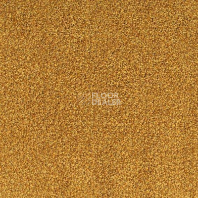 Ковровая плитка Desso Arcade Arcade B023 6102 фото 1 | FLOORDEALER