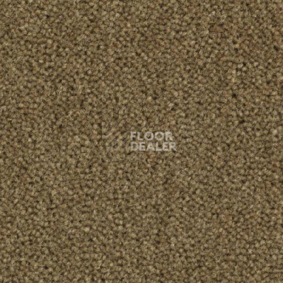 Ковролин Balsan Majestic 770 фото 1 | FLOORDEALER
