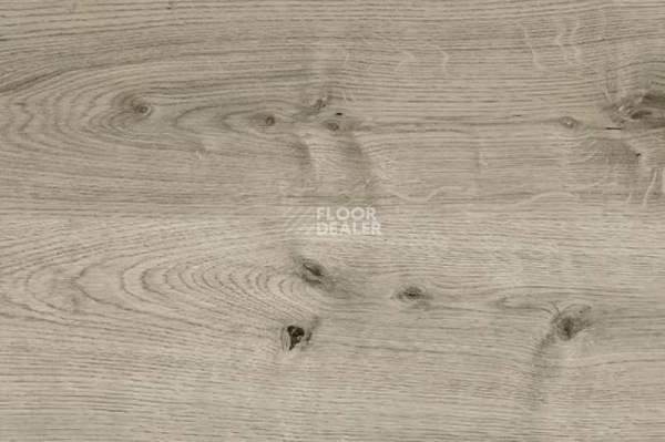 Пробковое покрытие Wood замковое OAK GREY фото 1 | FLOORDEALER