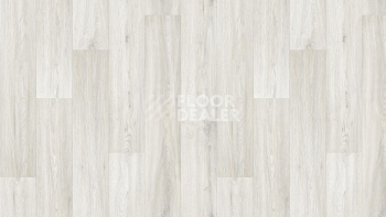Линолеум Tarkett Club Jane 4 фото 1 | FLOORDEALER