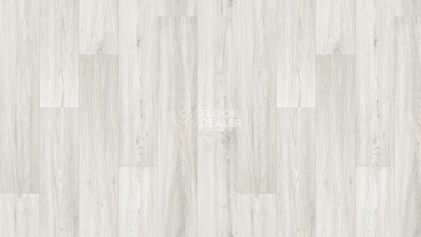 Линолеум Tarkett Club Jane 4 фото 1 | FLOORDEALER