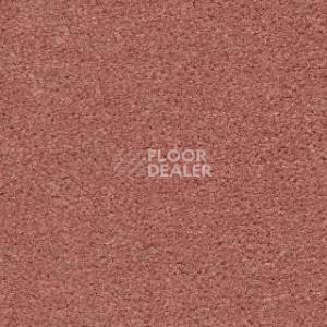 Ковролин Radici Montecarlo 60 фото 1 | FLOORDEALER