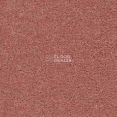 Ковролин Radici Montecarlo 60 фото 1 | FLOORDEALER