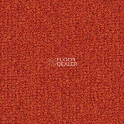 Ковролин Balsan Les Best S 470 фото 1 | FLOORDEALER