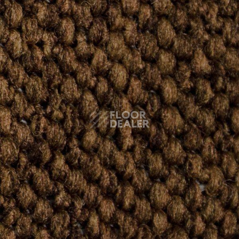 Ковролин Carpet Concept Eco Cut 54576 фото 1 | FLOORDEALER