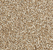 Ковролин Balsan Script 620 фото 1 | FLOORDEALER