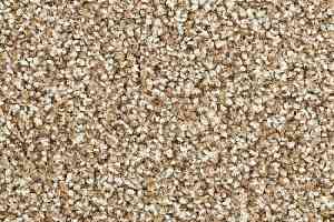 Ковролин Balsan Script 620 фото  | FLOORDEALER