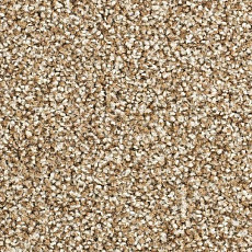 Ковролин Balsan Script 620 фото 1 | FLOORDEALER