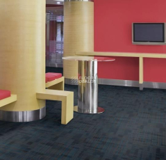 Tessera Alignment 240 Wavelength фото 3 | FLOORDEALER