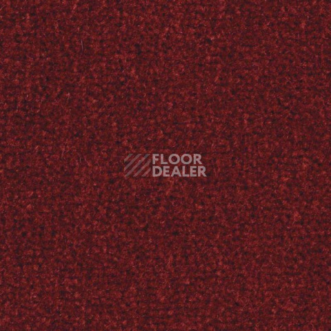 Ковролин Balsan Majestic 595 фото 1 | FLOORDEALER