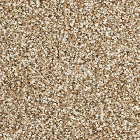 Ковролин Balsan Script 620 фото 1 | FLOORDEALER