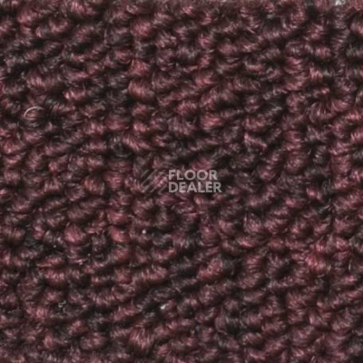 Ковролин Salisbury Beaulieu of America 317 фото 1 | FLOORDEALER