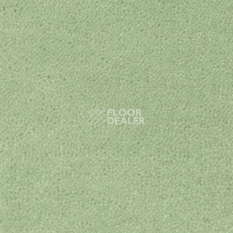 Ковролин Creatuft Sheba 1072 Green 4 + 5m фото 1 | FLOORDEALER