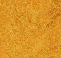 Линолеум Forbo Marmoleum Decibel on Order 312535 фото 1 | FLOORDEALER