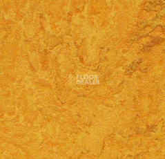 Линолеум Forbo Marmoleum Decibel on Order 312535 фото 1 | FLOORDEALER