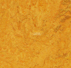 Forbo Marmoleum Decibel on Order 312535 фото 1 | FLOORDEALER