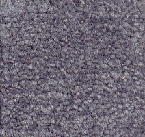 Ковролин Emphatic Beaulieu of America 56462 фото 1 | FLOORDEALER