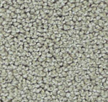 Ковролин Infloor Campino 850 фото 1 | FLOORDEALER