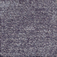 Ковролин Emphatic Beaulieu of America 56462 фото 1 | FLOORDEALER