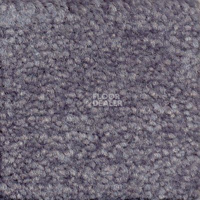 Ковролин Emphatic Beaulieu of America 56462 фото 1 | FLOORDEALER