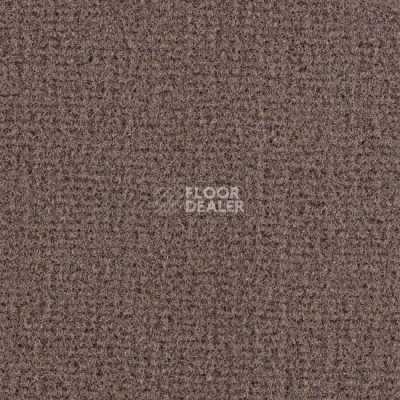 Ковролин Balsan Residentiel 930 фото 1 | FLOORDEALER