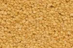 Ковролин Balsan Les First Les First 320 фото  | FLOORDEALER