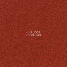 Ковролин Finett Feinwerk 503509 фото 1 | FLOORDEALER