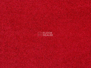 Ковролин ITC Carpe Diem Carpe Diem 011 фото 1 | FLOORDEALER