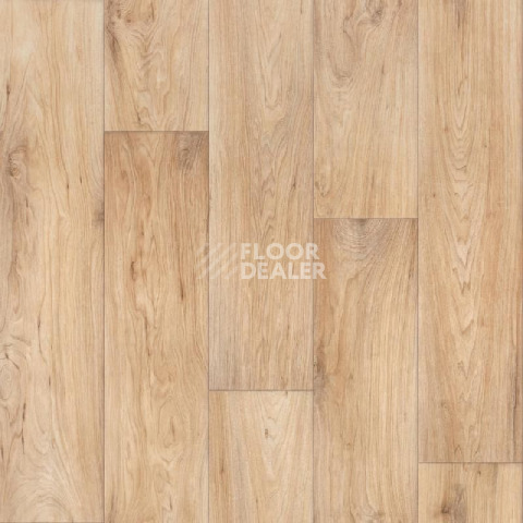 Линолеум Tarkett Evolution Wagner 1 фото 1 | FLOORDEALER