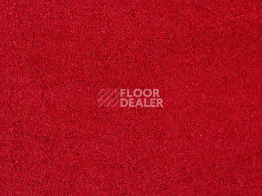 Ковролин ITC Carpe Diem Carpe Diem 011 фото 1 | FLOORDEALER