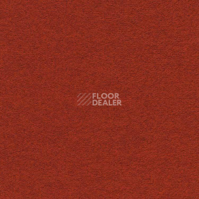 Ковролин Finett Feinwerk 503509 фото 1 | FLOORDEALER