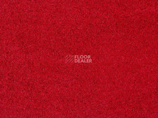 Ковролин ITC Carpe Diem Carpe Diem 011 фото 1 | FLOORDEALER