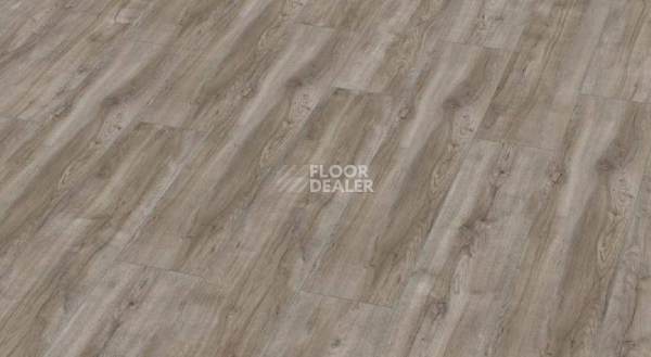 Ламинат My Floor Cottage широкая 8мм mv857 Дуб Монтело Серебристый фото 1 | FLOORDEALER