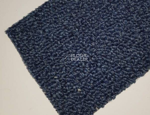 Ковролин Нева Тафт Астра 81 фото 1 | FLOORDEALER