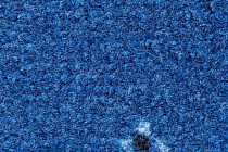 AW Animo 77 фото 2 | FLOORDEALER