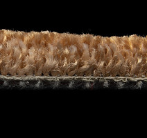 AW Masquerade Moretta 84 фото 4 | FLOORDEALER