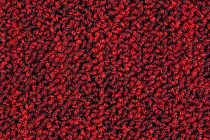 Escom CITY 380 фото 2 | FLOORDEALER