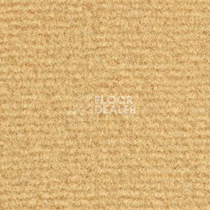 Ковролин Balsan Acadie DD Acadie 421 фото 1 | FLOORDEALER